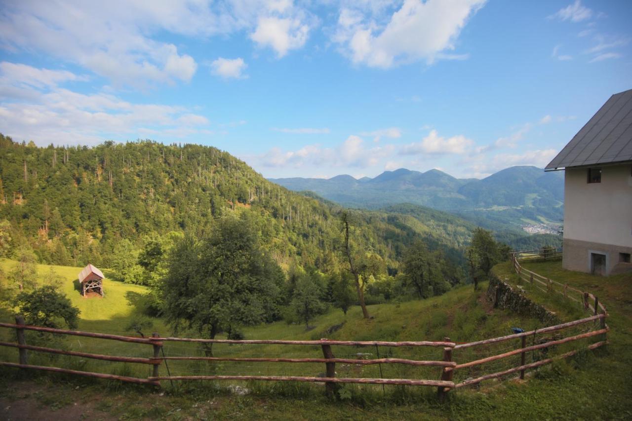 Apartma Gorski Razgled Srednja Vas v Bohinju Εξωτερικό φωτογραφία