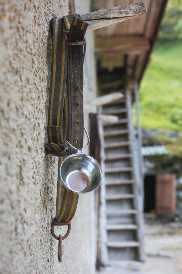 Apartma Gorski Razgled Srednja Vas v Bohinju Εξωτερικό φωτογραφία