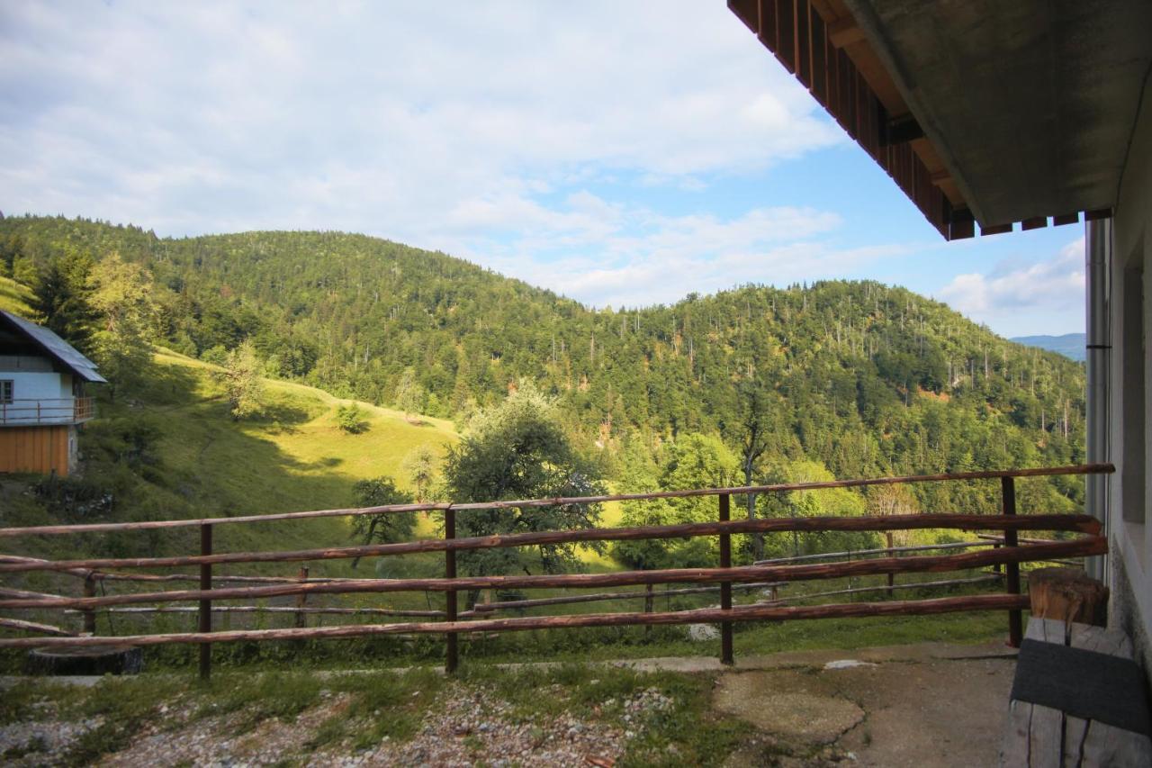 Apartma Gorski Razgled Srednja Vas v Bohinju Εξωτερικό φωτογραφία